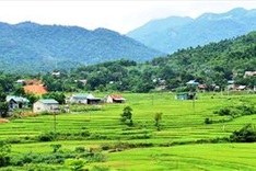 Nghe An father and son struggle with kidney failure