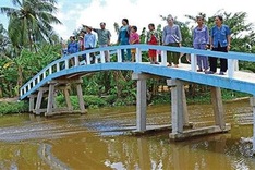 Mekong Delta region faces severe saltwater intrusion