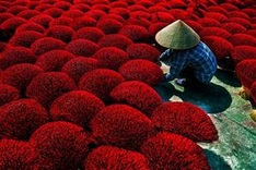 Local image claims prize at CEFF International Environmental Photography