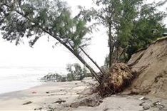 Underwater dyke set to save Cửa Đại beach from erosion