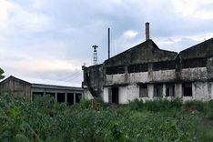 Locals complain over polluting wood processor