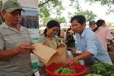 Hoi An expands plastic waste mitigation programme