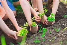 Joint efforts made to plant 1 billion trees by 2025