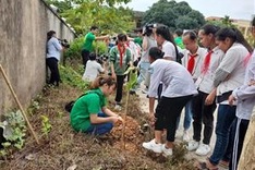 Campaign to green up Hanoi with 4,000 trees