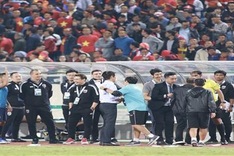 VFF files complaints over Thai football coach behaviour