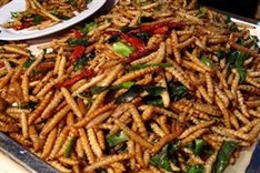 Vietnam authorised to export insect-based food to EU