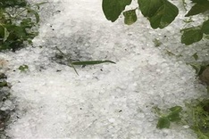 Da Lat hard hit by hail