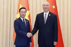 Vietnamese President meets with senior CPC official in Beijing