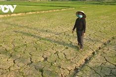 Temperature projected to rise by 6°C in Vietnam by the end of 21st century