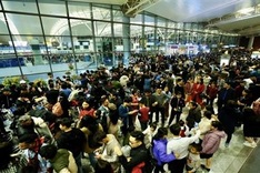 Airlines offer ticket sales for coming New Year holidays