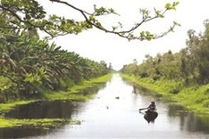 U Minh Thượng wetland reopens to eco-tourism after long hiatus