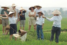 Foreign tourists experience farming life in Trang An