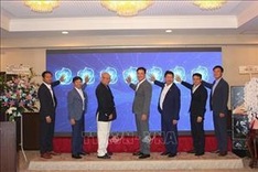 Vietnam-Japan digital transformation association debuts