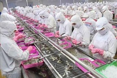 HSBC lowers Vietnam’s inflation forecast to 3.5 percent