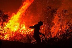 Indonesia forest fires surge, stoking global warming fears