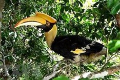 Organisation calls for end to commercial farming of endangered wildlife