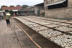 Nghe An: Alarm raised over pollution at craft villages