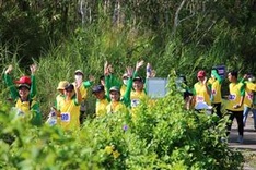 Ca Mau suspends forest walking event due to fire risk