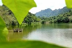 Cúc Phương National Park again wins at World Travel Awards 2022