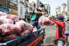 Free dragon fruit offered in HCM City