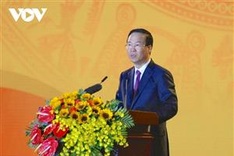 President attends Homeland Spring programme for overseas Vietnamese