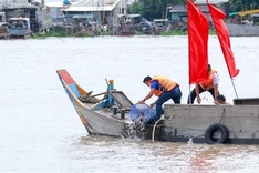 Over one million fingerlings released into Hau River