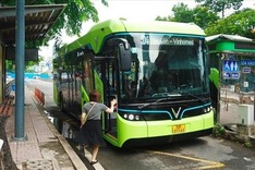 HCM City electric buses face big losses