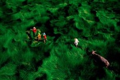 Photos of Vietnamese landscapes honoured at 35AWARDS Photography Award