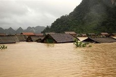 Vietnam needs roughly 368 billion USD to develop climate-resilient, low-carbon economy: WB