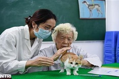 Retired lecturer runs charity clinics for pets