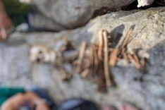Human skeleton found in Ninh Thuan forest
