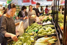 Vietnamese consumer price index to fall within limit this year, says economist