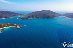 Nha Trang Bay turtle egg-laying area proposed