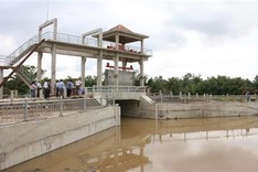 Saltwater intrusion to affect crops in Mekong Delta, farmers take preventive measures