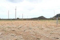 Ly Son farmland abandoned due to drought