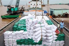 Vietnam’s rice exports may exceed 2024 target