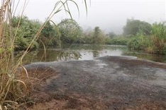 Lai Chau spring dying from pollution