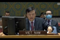Vietnam shares experience in poverty reduction, crisis management at UN session