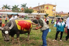 Buffalo painting contest held in Ha Nam