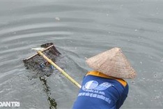 Changeable weather triggers mass fish deaths in Hanoi lake