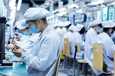 Hanoi’s Tet bonus drops against last year