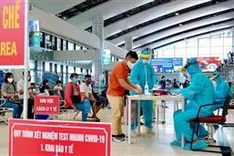 Covid-19 testing no longer needed for domestic flights