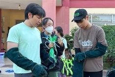 Feral cats controlled in HCM City