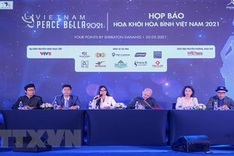 Beauty pageant for peace launched in Da Nang