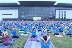 Vietnam plans various activities for 6th International Day of Yoga
