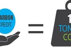 Vietnam to pilot operating carbon trade exchange from 2025