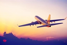 Loose dog on airport runway delays flight landing