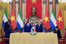 Vietnam, Sierra Leone desire stronger all-around ties