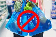 Vietnam to ban plastic bags from markets by 2030