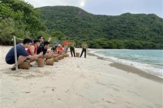 Malaysian baby sea turtles released into the sea in Con Dao